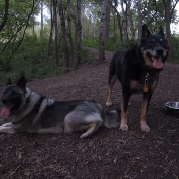 Dog Park at Cedar Knoll Park